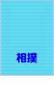 ���o�`�P�b�g